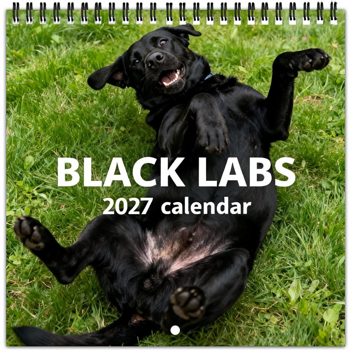 🐕🦺2027 Cute Black Labs Calendar