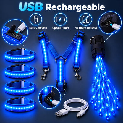 360° Illuminated Horse Harness & Glow Kit 🐎✨