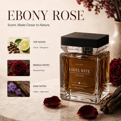 Luxury Scent Mist Diffuser