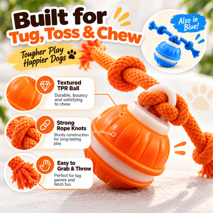 Interactive Smart Rolling Pet Ball