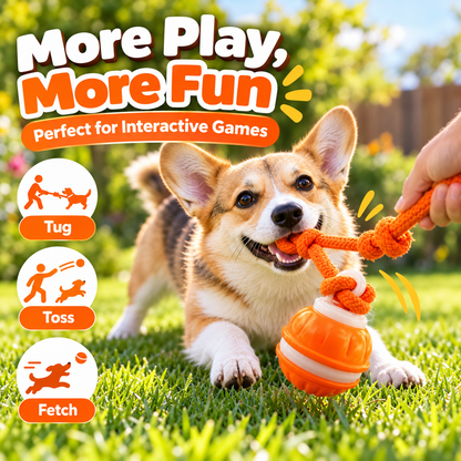 Interactive Smart Rolling Pet Ball