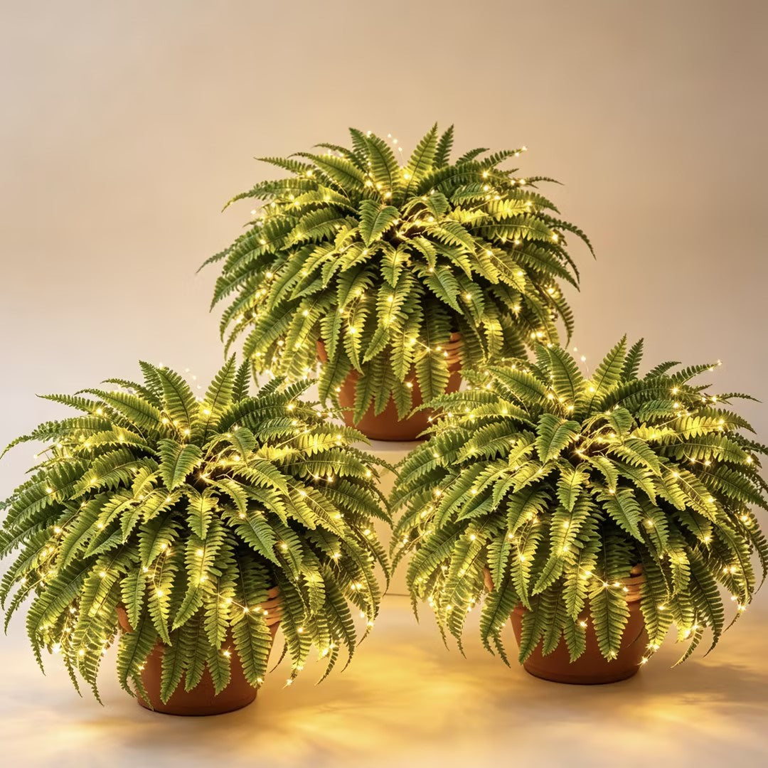 🔥 Last Day 70% OFF💡Glowing Artificial Boston Ferns with Lights – Never Fade, No Watering, No Maintenance🌿