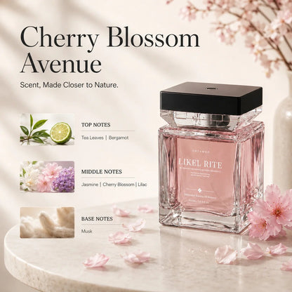 Luxury Scent Mist Diffuser