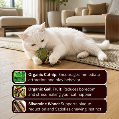Catnip & Silvervine Chew
