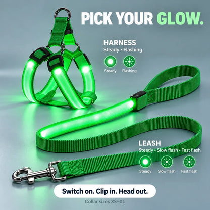 🐕 Rechargeable LED Dog Walking Kit ✨ Light-Up Harness, Collar & Leash for Safer Night Walks