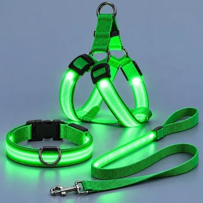 🐕 Rechargeable LED Dog Walking Kit ✨ Light-Up Harness, Collar & Leash for Safer Night Walks