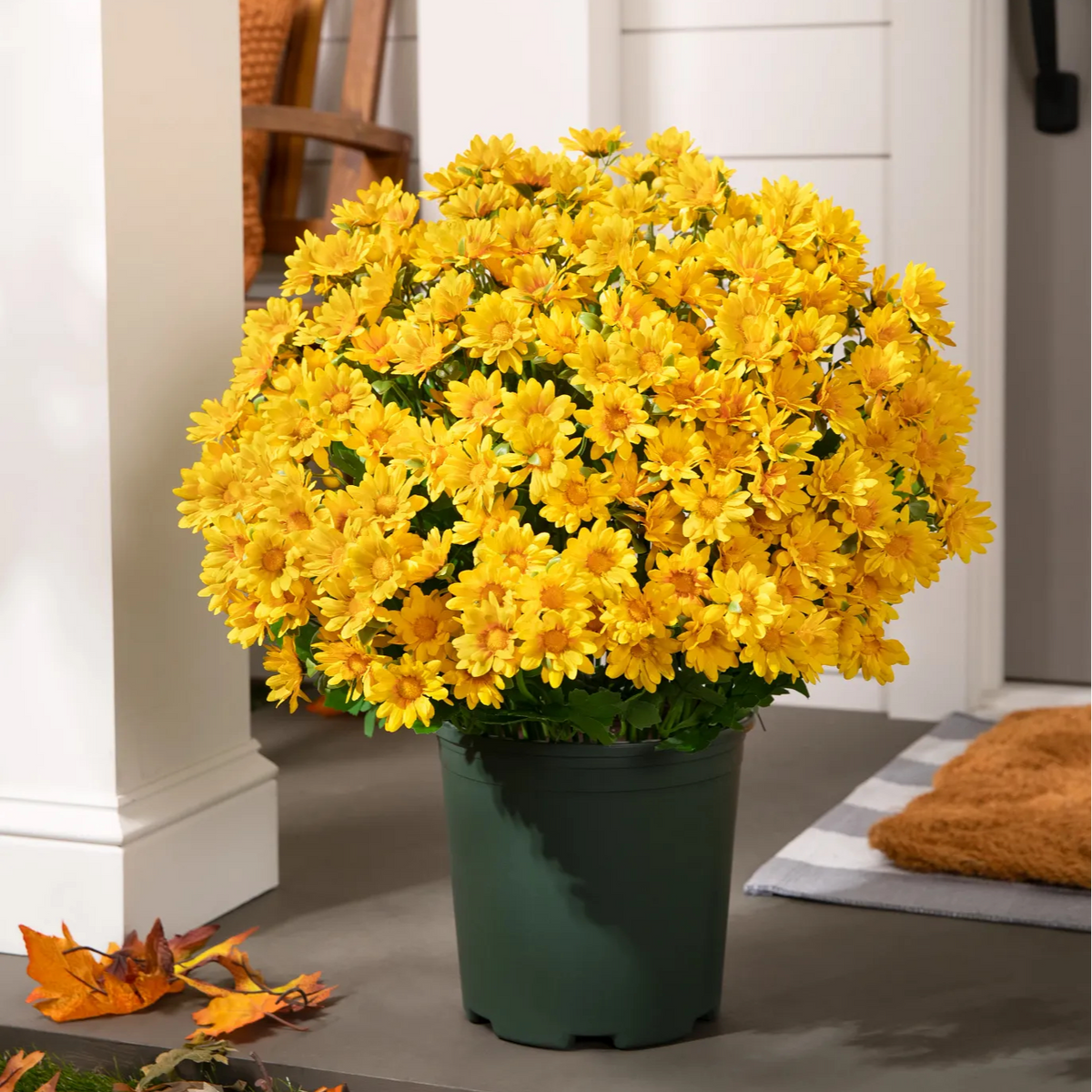 💥Last Day 70% OFF—🌼Welcome autumn- Artificial Outdoor Sunset Mums Flowers - UV resistant, Waterproof, Windproof