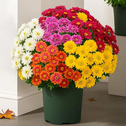 Artificial Outdoor Sunset Mums Flowers - UV resistant, Waterproof, Windproof