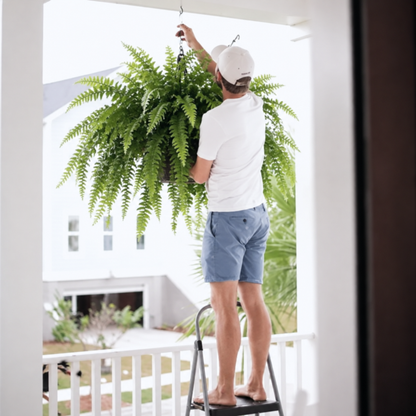 🔥 Last Day 70% OFF💡Glowing Artificial Boston Ferns with Lights – Never Fade, No Watering, No Maintenance🌿