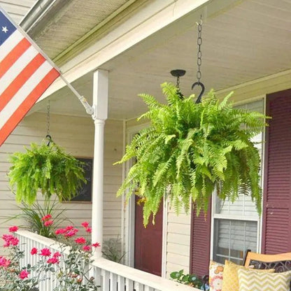🔥 Last Day 70% OFF💡Glowing Artificial Boston Ferns with Lights – Never Fade, No Watering, No Maintenance🌿